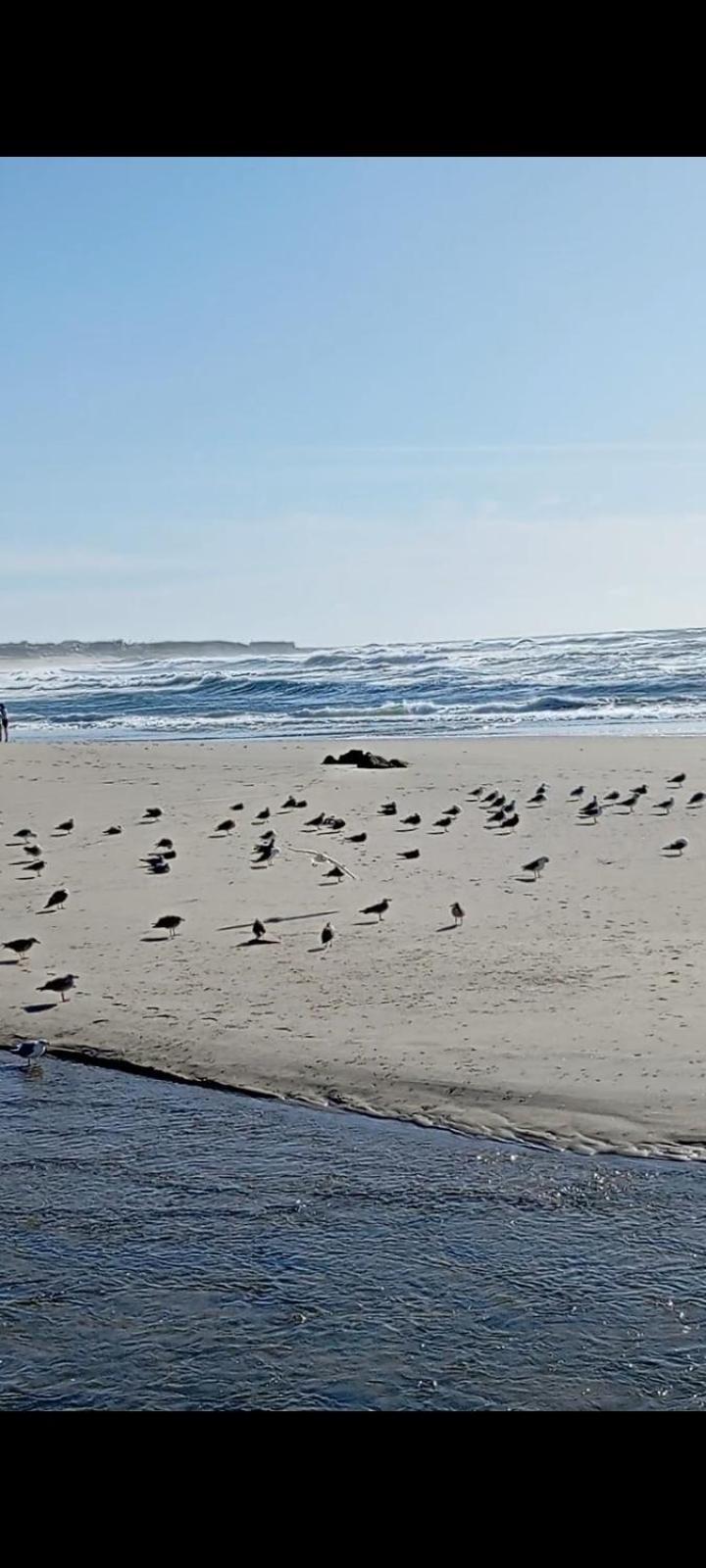 Atico Maravilloso En Cangas , Vigo Zewnętrze zdjęcie